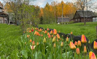 Купить участок, Черное озеро, 14 соток. Фото 5