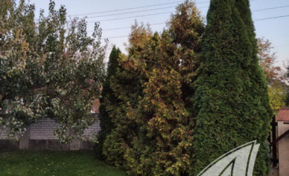 Купить дом, Брест, Пугачево, 8.32 соток. Фото 29