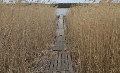  1-этаж.(55 м2), Каролин(Центральная 15А)