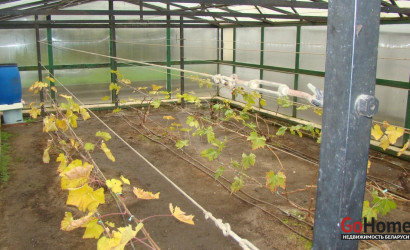 Купить дом, Холма, Центральная ул., 25 соток. Фото 39