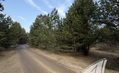 Купить участок, Дубица, Домачевский с/с, 24.9 соток. Фото 17