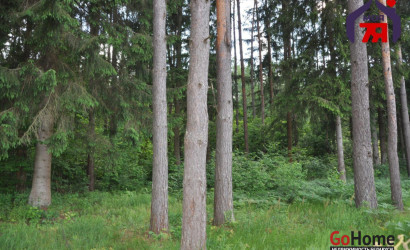 Купить дом в деревне, Березка-1998, 4.71 соток. Фото 22