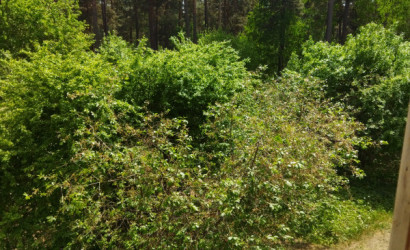 Снять 1-комнатную квартиру на сутки, Боровка, д. 20. Фото 7