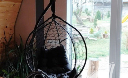 Купить дом, Пруска-Волгинова, Речицкий с/с, 44.94 соток. Фото 10