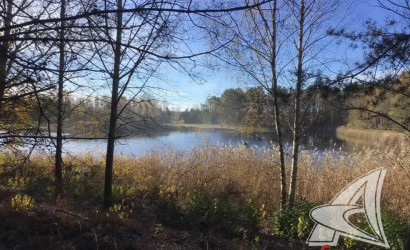 Купить дом, Лука, Остромичский с/с, 11.73 соток. Фото 4