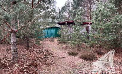 Купить дачу, Брест, Чернавчицкий с/с, 6 соток. Фото 24