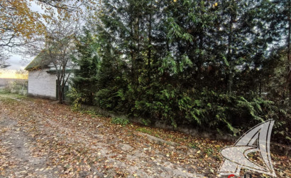 Купить дачу, Брест, Чернавчицкий с/с, 10.49 соток. Фото 37