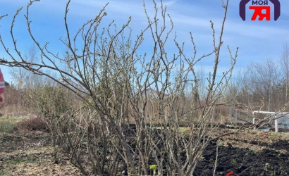 Купить участок, Новые земли, 7.52 соток. Фото 10