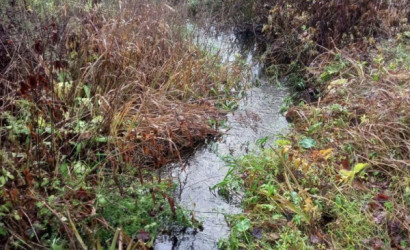 Купить дом в деревне, Трактор-Колоницы, 11 соток. Фото 23