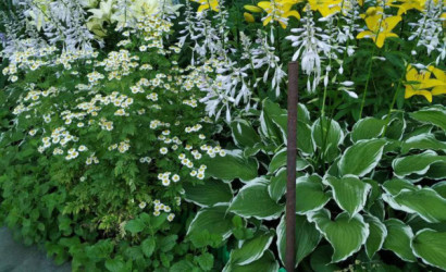 Купить дом, Гомель, 3-я Иногородняя, 12 соток. Фото 11