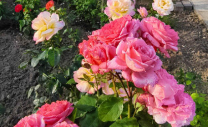 Купить дом в деревне, АЭРОФЛОТ, 6.04 соток. Фото 30