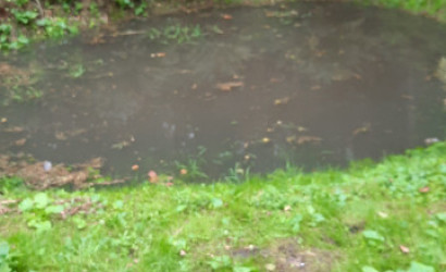 Купить участок, Заболотье, Улица 1 Луговая 50, 8.9 соток. Фото 6