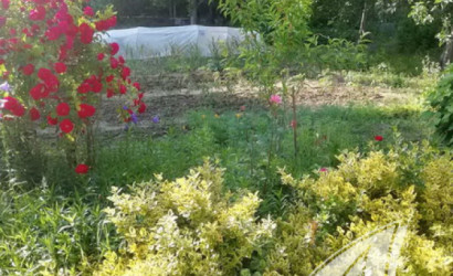 Купить дачу, Брест, Мотыкальский с/с, 5.11 соток. Фото 13