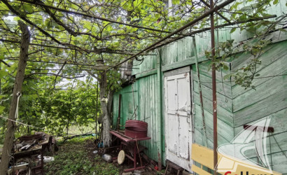 Купить дачу, Брест, Чернавчицкий с/с, 4.99 соток. Фото 7