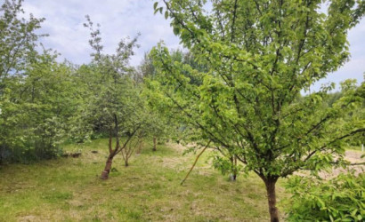 Купить дом, Турковщина, Центральная ул., 20 соток. Фото 34