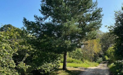 Купить дом, Осиновка, 1-й Осиновский, 3, 24.99 соток. Фото 15