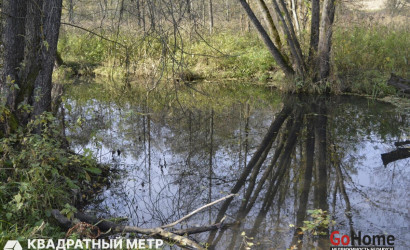 Купить дом, Дуброва, Заречная ул., 25 соток. Фото 3