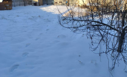 Купить дом в деревне, Заречье-82, 4.51 соток. Фото 4