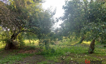 Купить дом, Лоев, Первомайская, 9 соток. Фото 10