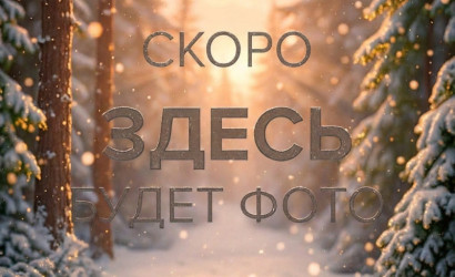 Купить 4-комнатную квартиру, Минск, Проезд Чайковского, 5 (Первомайский район). Фото 9