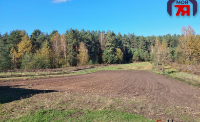 Купить дом, Шпаковщина, Центральная ул., 25 соток. Фото 6