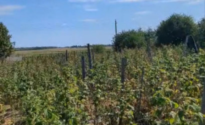 1-этаж.(42.5 м2), Зеленые Луки