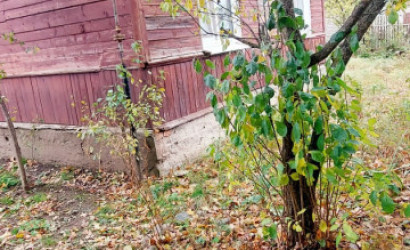 Купить дом, Витебск, 4-я Линия, 5.9 соток. Фото 12