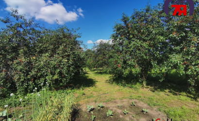 Купить 3-комнатную квартиру, Замостье, Новая ул.. Фото 12