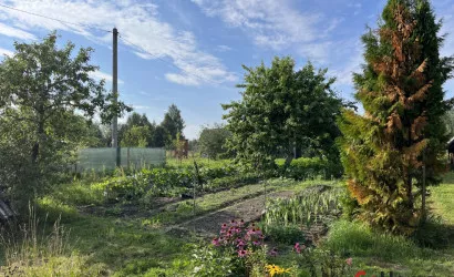  1-этаж.(47.5 м2), Климанты(46)