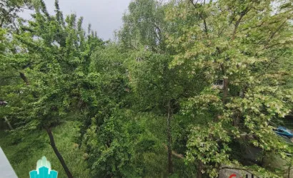  51.47 м2, Гомель(пер. Речицкий, д. 98)
