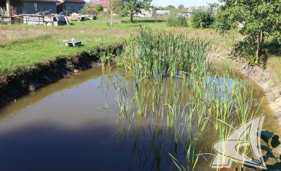Купить дом, Большие Радваничи, Радваничский с/с, 20.8 соток. Фото 9