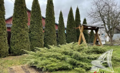 Купить дом, Жабинка, г. Жабинка, 6.3 соток. Фото 3