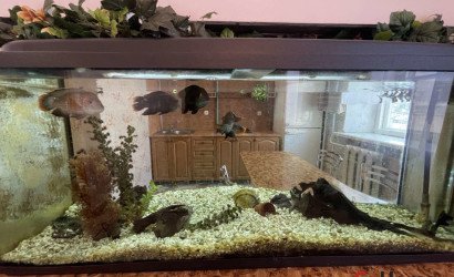 Купить 1-комнатную квартиру, Гродно, Телеграфная, 22А. Фото 6