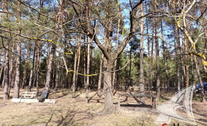 Купить дачу, Брест, Мухавецкий с/с, 4.19 соток. Фото 9