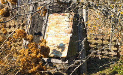 Купить дачу, Бабино-1, Химовский с/с, Бобруйский р-н, Могилевская обл , 6 соток. Фото 13