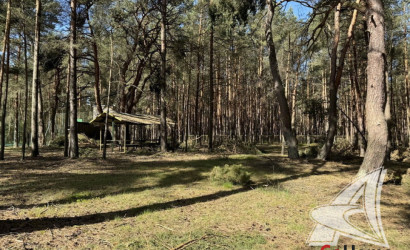 Продажа помещения под сферу услуг, Дивин,  349.3 кв.м.. Фото 2