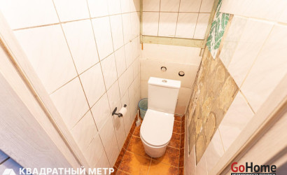 Купить 4-комнатную квартиру, Фаниполь, Железнодорожная ул., 62. Фото 16