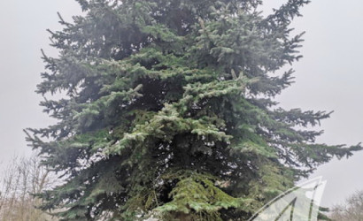 Купить дом, Кобелка, Домачевский с/с, 17 соток. Фото 19