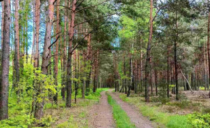 Купить участок, Мухавец, Связист-2008, 5 соток. Фото 5