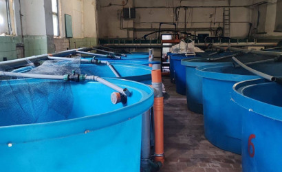 Продажа помещения, Переносины,  200 кв.м.. Фото 4