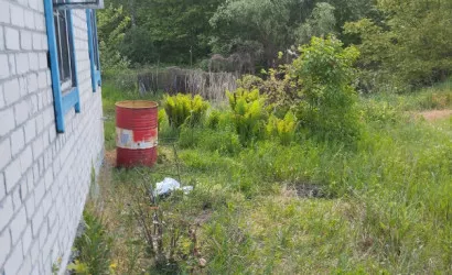  1-этаж.(55 м2), Микашевичи(Альбатрос, 1)