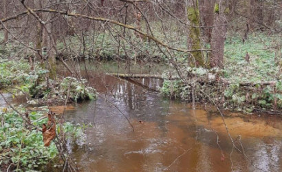 Купить участок, Боярск, 17, 25 соток. Фото 2