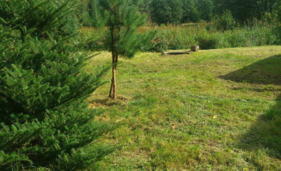 Снять на сутки дом, Усса, Хутор Усса, Столбцовский р-н. Фото 7