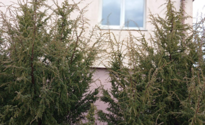 Купить дом, Городнянский Мох, Озёрная, 33, 27 соток. Фото 2