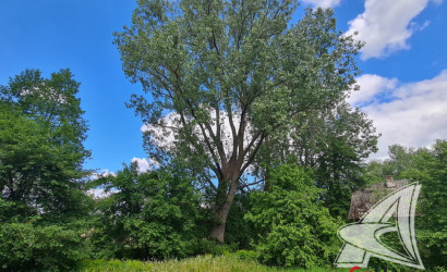 Купить дом в деревне, Ходосы, Ленинский с/с, 16.79 соток. Фото 14