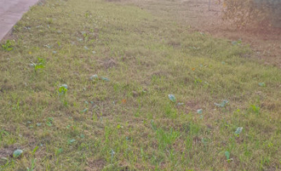 Купить участок, Крупки, Кирова 29, 13 соток. Фото 5