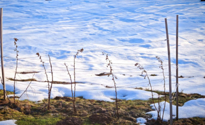 Купить коттедж, Дуброва, Солнечная ул., 6, 20 соток. Фото 33