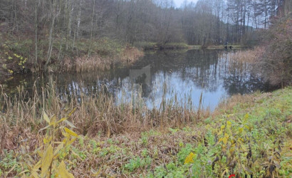 Купить дом в деревне, РОДНИК, 5.5 соток. Фото 21