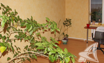 Купить дом, Высокое, г. Высокое, 15 соток. Фото 26