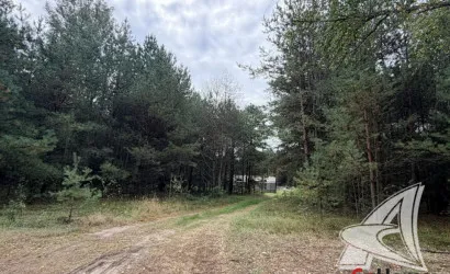  90.4 м2, Брест(Речица)